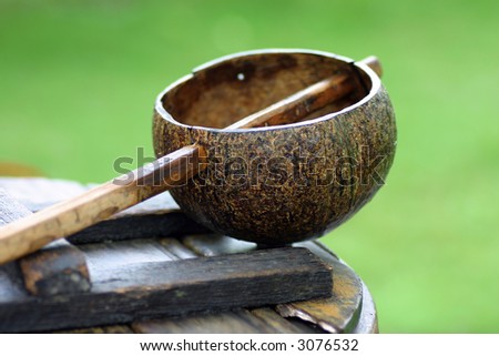 Coconut shell dipper with water jar with green background