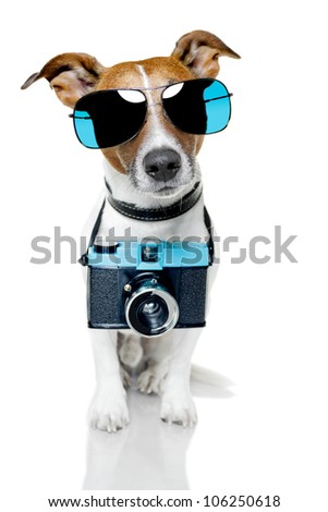 dog taking picture