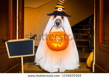 dog sitting as a ghost for halloween in front of the door  at home entrance with pumpkin lantern or  light , scary and spooky, for a trick or treat, banner , placard to the side