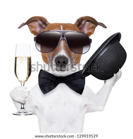 Cheers Dog With A Glass Of Champagne And A Black Hat