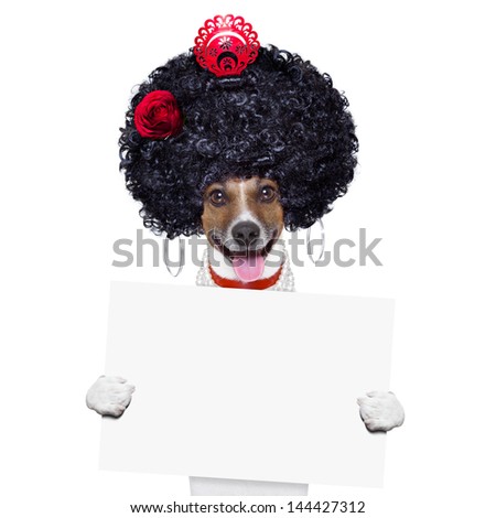 spanish flamenco dog with very big curly hair and hand fan behind banner placard