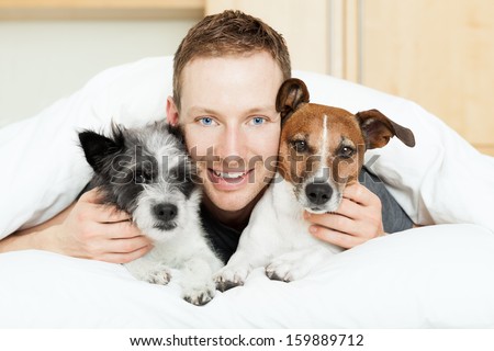 Dog Owner In Bed With Two Cute Dogs