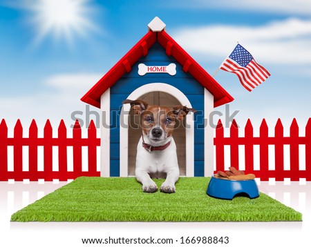 Dog In House With Bowl Full Of Food And American Flag