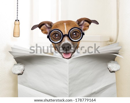 crazy silly dog sitting on toilet and reading magazine