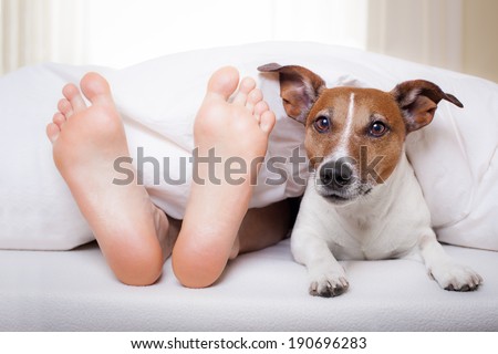 dog and owner under bed sheet relaxing