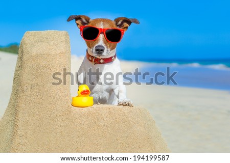 dog building a sandcastle with red sunglasses in summer vacation