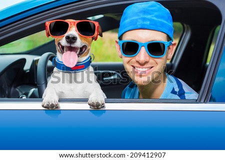 dog in a car looking through window with Driving instructor