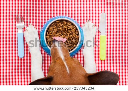full dog food bowl with knife and fork on tablecloth,paws and head of a dog