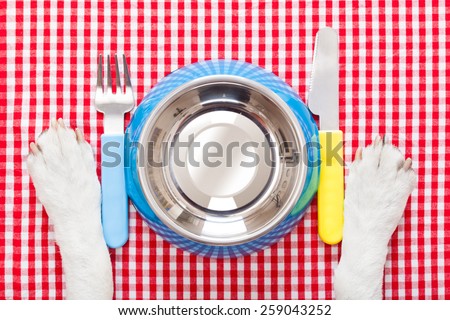 empty dog food bowl with knife and fork on tablecloth,paws of a dog