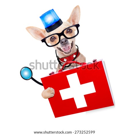 chihuahua dog as a medical veterinary emergency doctor with stethoscope and first aid kit behind a white and blank banner  and blue lights, behind white banner, isolated on white background