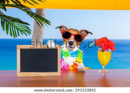 jack russell dog  with a summer cocktail holding an empty blank blackboard or banner, on  vacation holidays