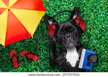 french bulldog dog  listening to oldies with headphones or earphones from a  retro cassette tape   recorder, relaxing with eyes closed, lying on  grass at the park or meadow, under  umbrella
