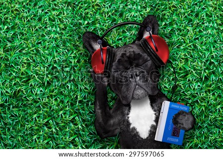 french bulldog dog  listening to oldies with headphones or earphones from a  retro cassette tape   recorder, relaxing with eyes closed,lying on  grass at the park or meadow