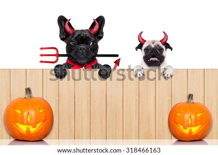 row of pumpkin dogs in a row behind a wall of wood dressed as devil demons, isolated on white background