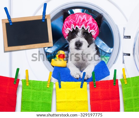 dog inside a washing machine ready to do the chores and homework or housework and clean the  dirt, wearing a shower cap , towel and rubber duck as companion