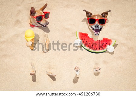 funny couple of dogs   buried in the sand at the beach on summer vacation holidays ,  wearing red sunglasses, eating a fresh juicy watermelon and ice cream on cone waffle
