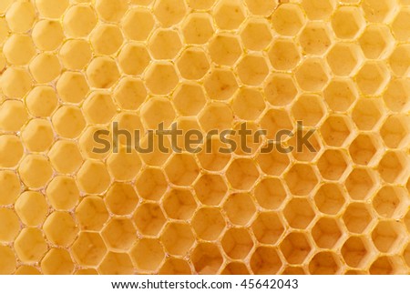 Honey-comb