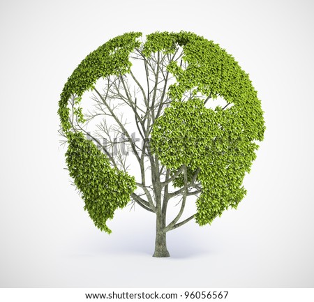 Tree shaped like the World map Tree shaped like the World map