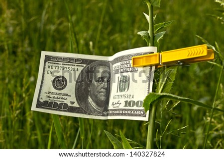One hundred dollars fixed on a sprout with a clothes peg/One hundred dollars