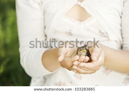 Close up of girl\'s hands holding a baby bird in them.