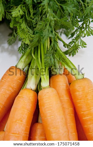 Still life over head close up detail of a bunch of healthy fresh and organic sweet carrots with growing leaves on a white background. Healthy diet foods and vegetables with vitamins.