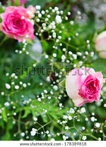 Still life over head view of a delicate and beautiful bouquet of pink roses flowers and small white blossom with a green leafy background in a floral market stall, outdoors.