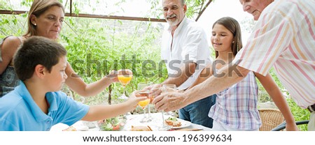 Joyful family group toasting with their glasses while enjoying a family healthy lunch in a holiday villa home green garden outdoors. Summer vacations and family celebration, recreational lifestyle.