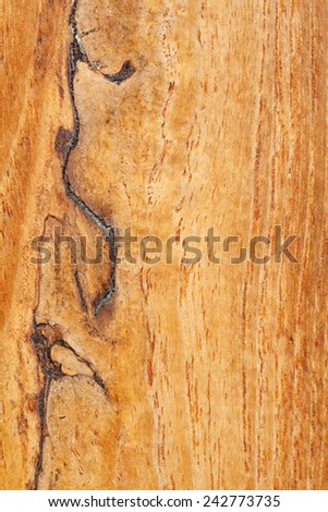 Close up detail view of a textured teak wood background with a golden rich color. Carpentry and organic natural materials and pattern backdrop. Full frame cut of wood.