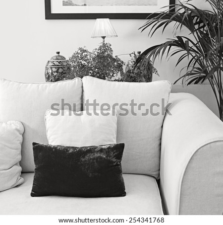 Black and white living room home interior with a sofa, decorative vases and a picture frame, house interior. Comfortable living lifestyle. Home space with textures interior design elements, indoors.
