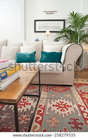 Interior design lifestyle detail of a home living room with white sofa and plants, interior view. House indoors with carpets and picture frame. Aspirational lifestyle home space still life.