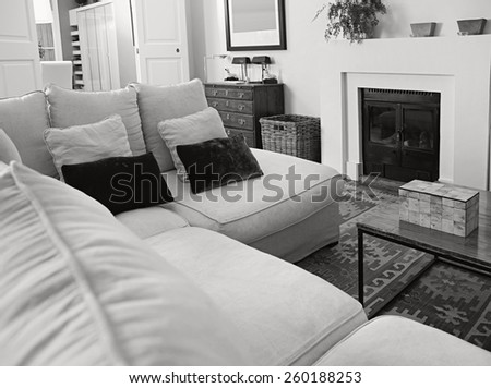 Still life of a stylish elegant home living room with a white sofa and a fireplace, wooden floors and carpets, house interior. Beautiful home space and family room with books and cushions, indoors.