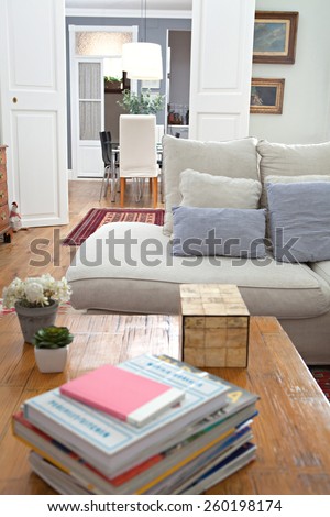Still life view of a stylish elegant home living room with a white sofa and a fireplace, wooden floors and carpets, house interior. Beautiful design home space and family room with books, indoors.