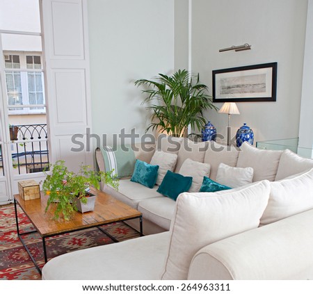 Still life home interior of elegant family living room with white sofa and quality carpet, with family pictures and plants, house living indoors. Aspirational luxurious lifestyle and living interior.