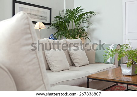 Still life home interior view of an elegant spacious family living room with a stylish white sofa and plants, indoors. Aspirational luxurious lifestyle and living interior space. Desirable property.
