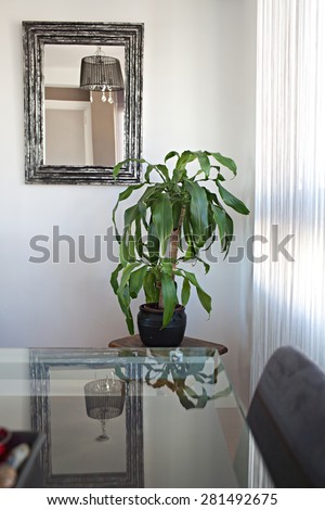 Still life view of an apartment living room with a glass and reflective dining table and mirror with silver frame in a bright home interior. Cozy family living room view, house interior living detail.