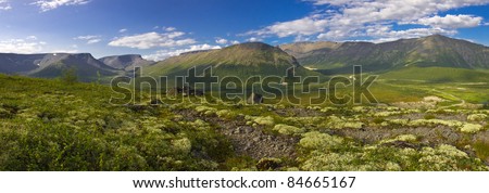 Moss, lichens and stones in north mountain tundra