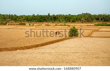 Indian landscape, Kerala