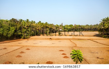 Indian landscape