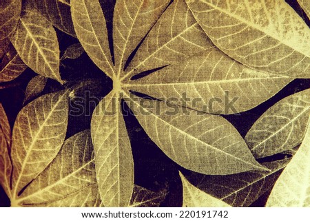 seamless pattern with leaves, grunge texture