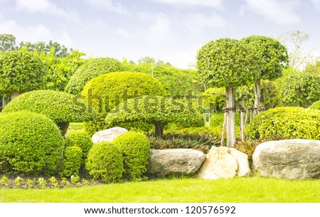 Lush Green Topiary garden