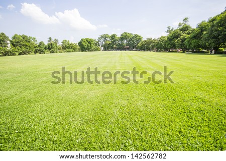 Green field and tree with blue sky