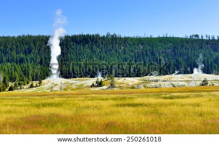 Upper Geyser basin valley of Yellowstone National Park, Wyoming