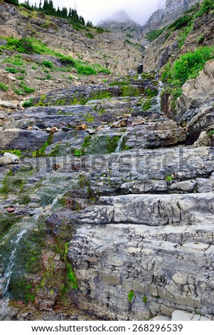 mountain stream on a high alpine trail in glacier national park in summer