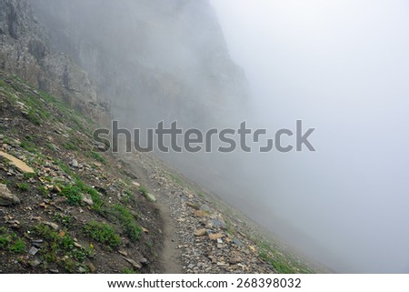 high alpine trail and heavy fog in glacier national park in summer