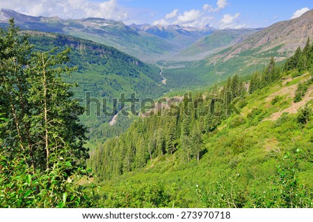 beautiful Glacier National Park summer landscape