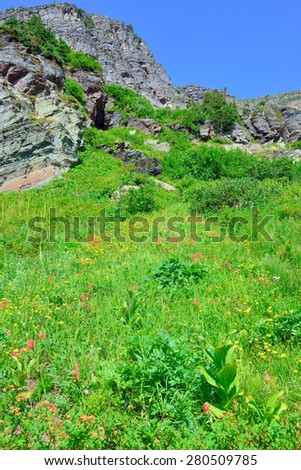 wild flowers and high alpine landscape of the Grinnell Glacier trail in Glacier national park, montana in summer