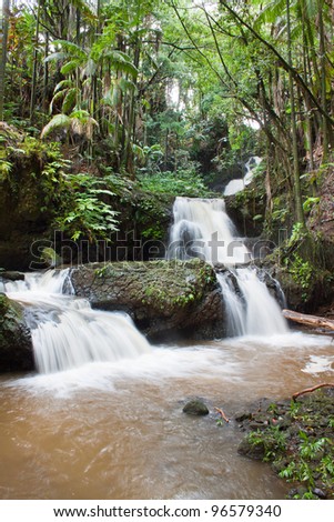 tropical waterfall in a jungle Hawaii