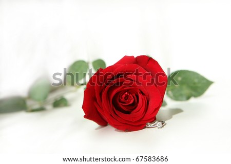 red rose and diamond ring