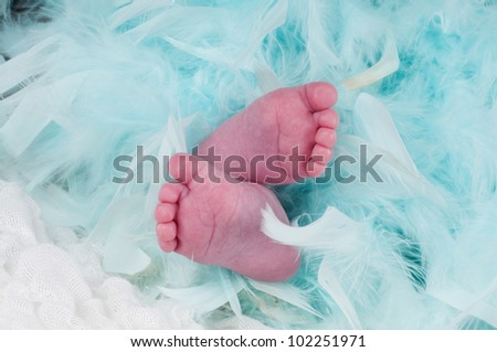 baby boy newborn feet background card