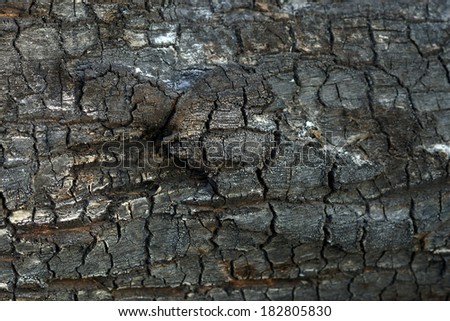 Texture of wood charcoal